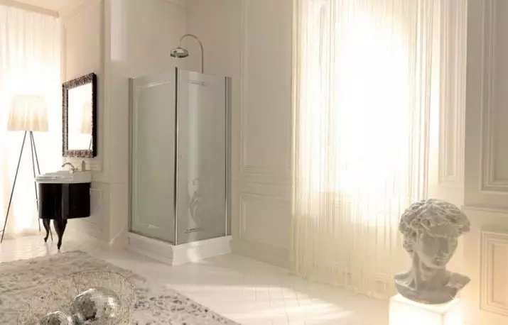 Fyrkantig duschkabin: 80x80, 90x90, 100x100 cm och andra storlekar, låga pallstugor, främre ingång, tak och annat 10320_74