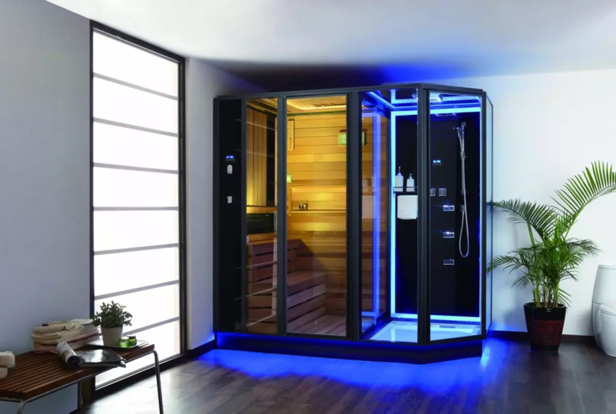 Duschkabinen mit Sauna: Modelle mit einer finnischen Paril für Apartments und mit einer Infrarot-Sauna im Bad, andere 10323_16