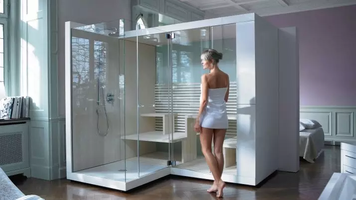 Duschkabinen mit Sauna: Modelle mit einer finnischen Paril für Apartments und mit einer Infrarot-Sauna im Bad, andere 10323_45