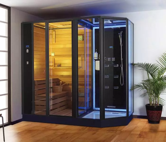 Duschkabinen mit Sauna: Modelle mit einer finnischen Paril für Apartments und mit einer Infrarot-Sauna im Bad, andere 10323_5