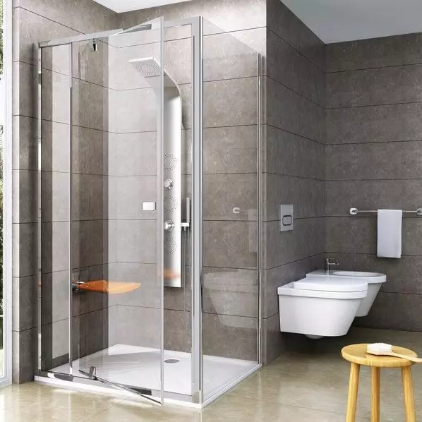 矩形淋浴舱：尺寸70x100和110x80，120x80和120x90，70x90等，带托盘的其他窄和宽型号 10326_23