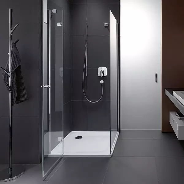 矩形淋浴舱：尺寸70x100和110x80，120x80和120x90，70x90等，带托盘的其他窄和宽型号 10326_41