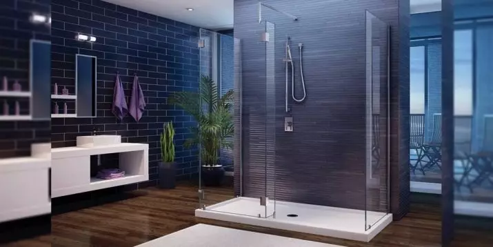 Cabin shower persegi panjang: Dimensi 70x100 dan 110x80, 120x80 dan 120x90, 70x90 dan model lain, sempit dan lebar dengan palet 10326_50