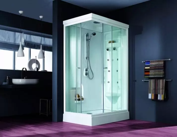 矩形淋浴舱：尺寸70x100和110x80，120x80和120x90，70x90等，带托盘的其他窄和宽型号 10326_58