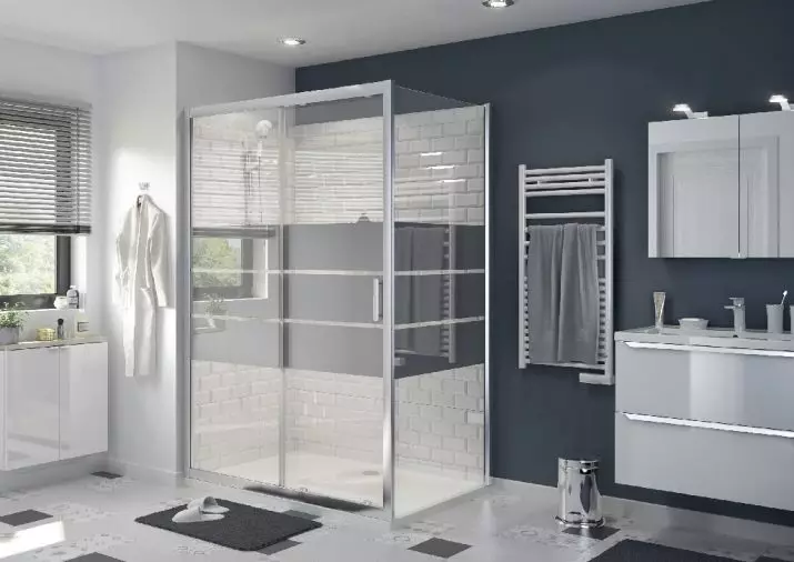 矩形淋浴舱：尺寸70x100和110x80，120x80和120x90，70x90等，带托盘的其他窄和宽型号 10326_8