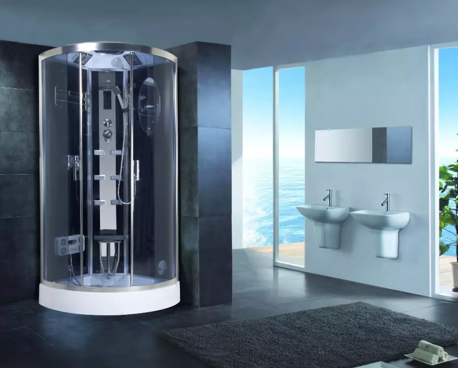 Kabinat e dushit nga Gjermania: tiparet e dushit të prodhimit gjerman të kabinës, shqyrtimin e modeleve të klasës premium dhe të tjera 10332_17