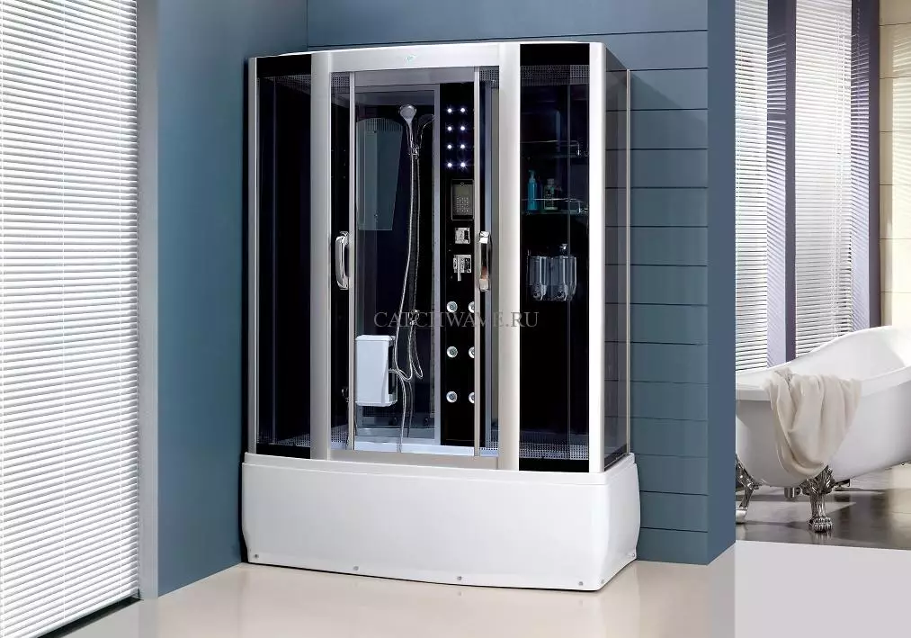 Sprchové kabiny z Německa: Vlastnosti sprchové kouta Německá výroba, Přehled modelů třídy Premium a další 10332_18