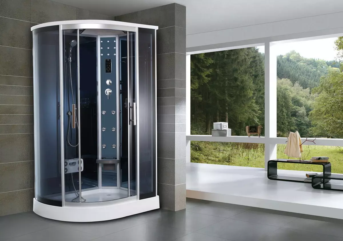 Shower cabins mula sa Germany: Mga Tampok ng Shower Cabin Aleman produksyon, pagsusuri ng mga modelo ng premium klase at iba pa 10332_2
