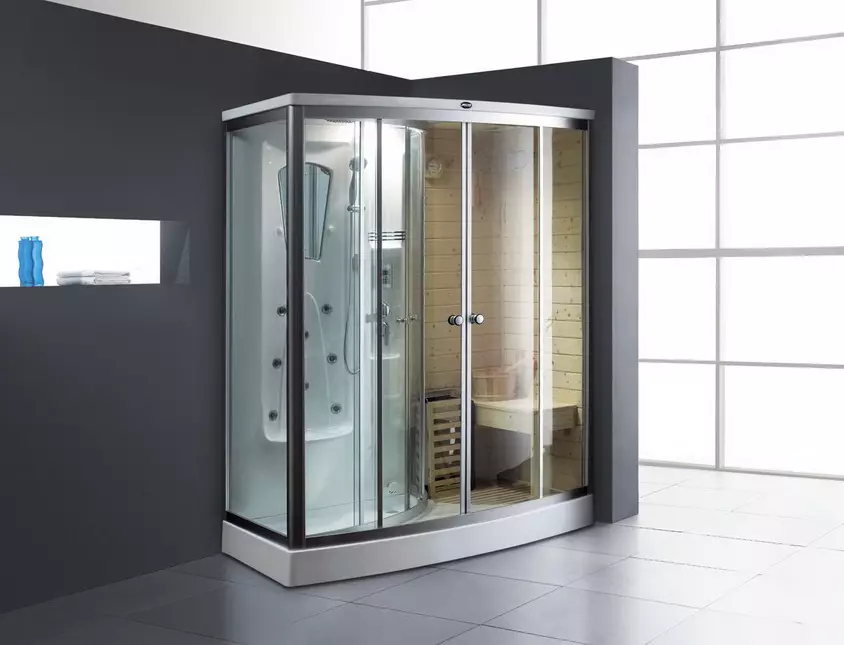 Almanya'dan duş kabinleri: Duş kabini Almanca üretimi, premium sınıf modellerinin gözden geçirilmesi ve diğer özellikleri 10332_20