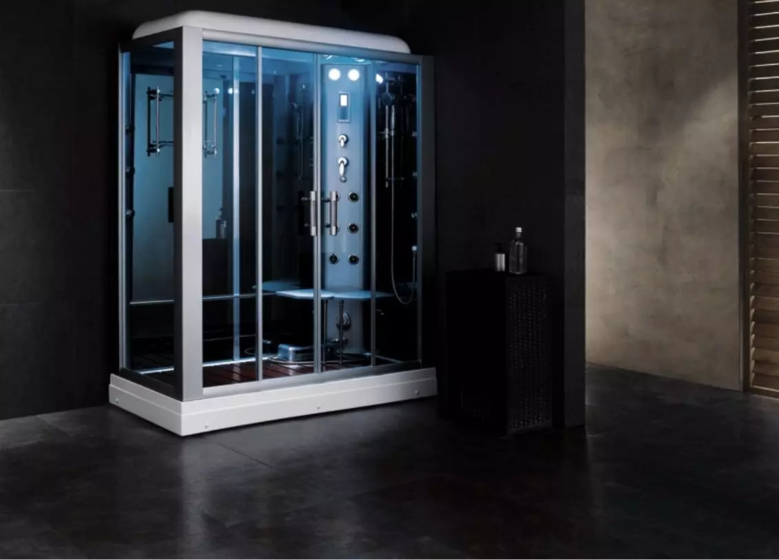 Cabine de duș din Germania: Caracteristici de cabină de duș Producția germană, revizuirea modelelor de clasă premium și altele 10332_21