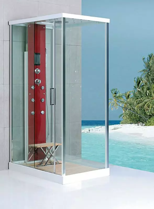 来自德国的淋浴间：淋浴舱德国生产的特点，优质级型号和其他型号 10332_23