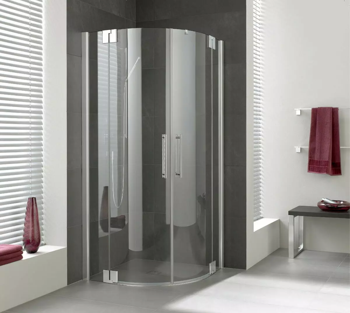 Cabañas de ducha de Alemaña: Características da cabina de ducha Produción alemá, revisión de modelos de clase Premium e outros 10332_28