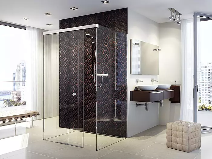 来自德国的淋浴间：淋浴舱德国生产的特点，优质级型号和其他型号 10332_6
