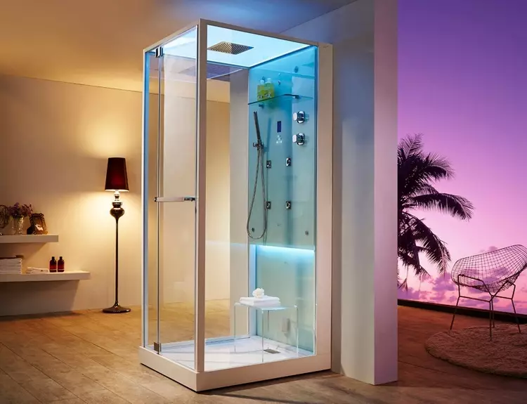 I-Glass Shower Cabins (izithombe ezingama-87): Izinhlobo ze-Glass. Amamodeli ane-pallet, angular kanye nesikwele 90x90 cm ngezindonga zengilazi, okunye 10333_50