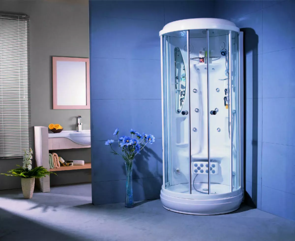 Appollo suihkukaappi: Lattiamökit, joissa on kylpyhuone ja muut mallit. Niiden etuja ja haittoja. Kuinka valita mökki? 10338_11