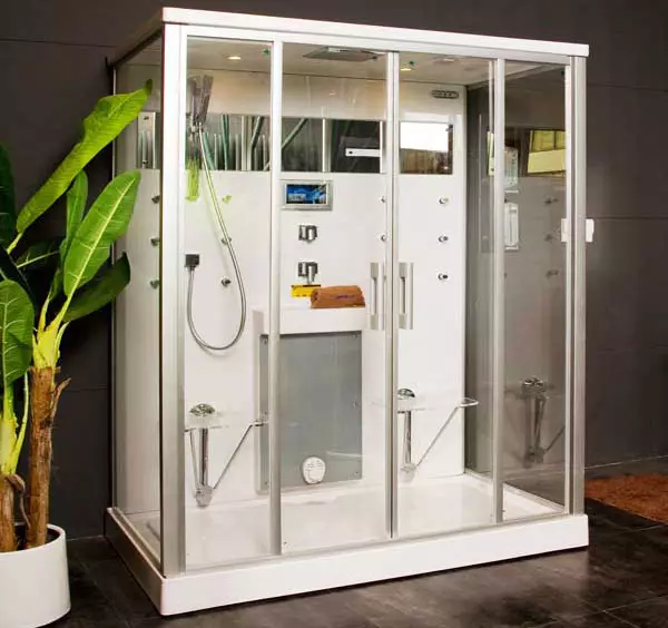 Appollo淋浴艙：帶浴室和其他型號的地板艙。他們的優缺點。如何選擇一個小屋？ 10338_12