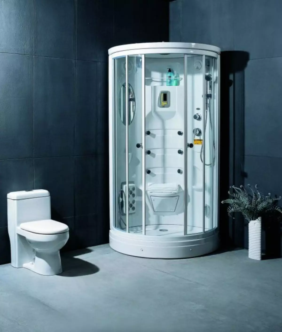 Appollo suihkukaappi: Lattiamökit, joissa on kylpyhuone ja muut mallit. Niiden etuja ja haittoja. Kuinka valita mökki? 10338_17