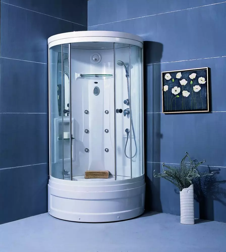 Cabina de dutxa Appollo: cabina de pis amb un bany i altres models. Els seus avantatges i desavantatges. Com triar una cabina? 10338_4