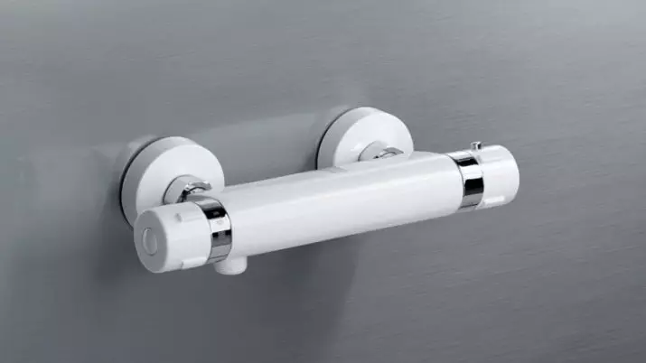 Faucets të bardha të banjës: Përmbledhje e modeleve të bardha të bardha për banjot Shell dhe në bord, me hundë të gjatë dhe të shkurtër 10353_13