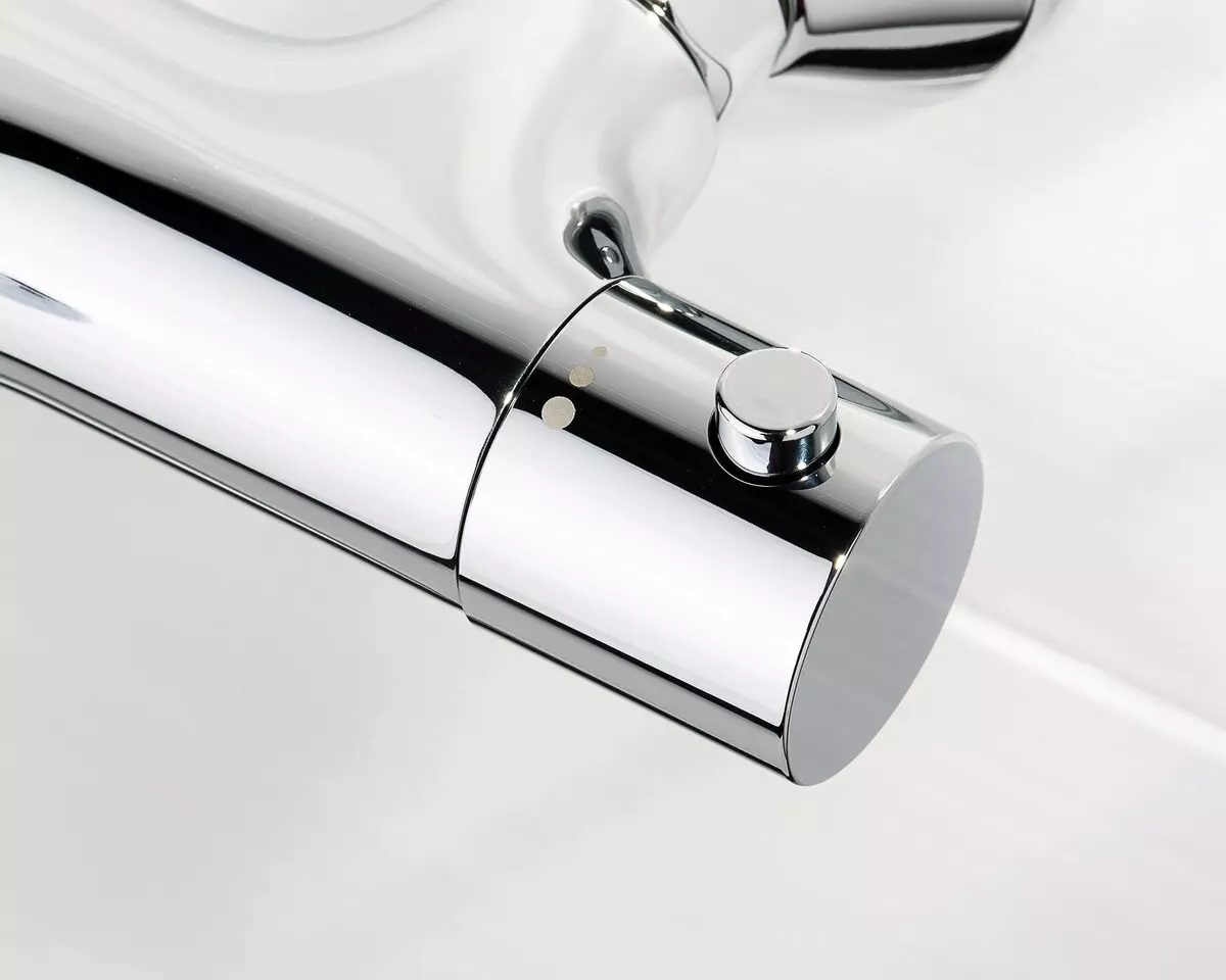 帶恆溫器的攪拌機用於浴室：恆溫模型的評級，選項是噴口，雙和其他型號 10367_14