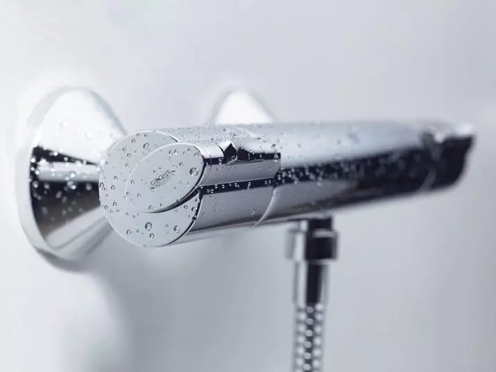 帶恆溫器的攪拌機用於浴室：恆溫模型的評級，選項是噴口，雙和其他型號 10367_27