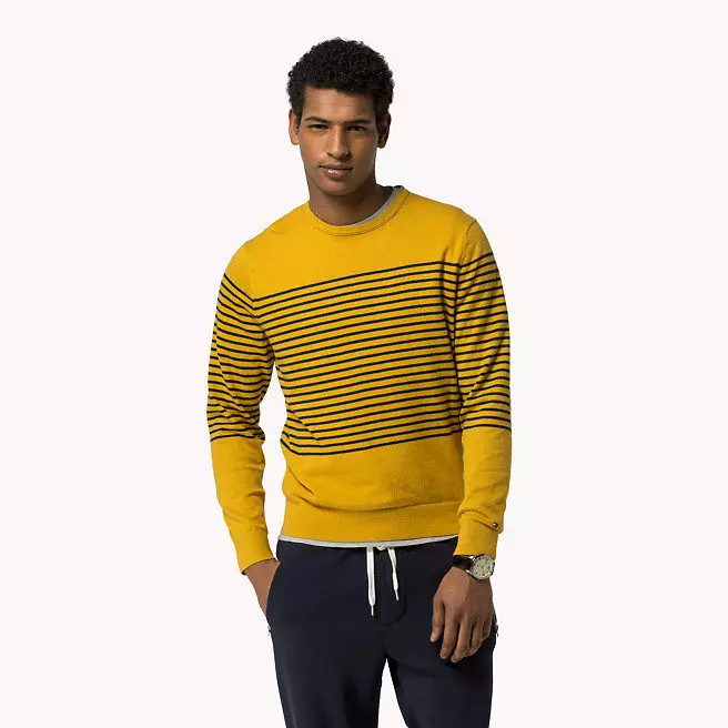 Tommy Hilfiger pulover (64 poze): modele Tommy Hilfiger 1037_35