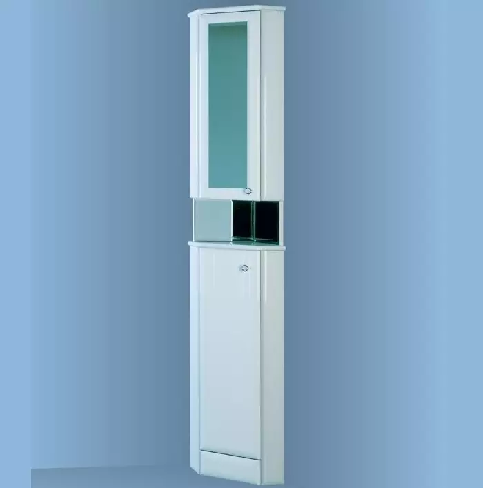 Kasus sudut di kamar mandi: ikhtisar lemari lantai dan terpasang, ukuran 30 cm dan 40 cm 10406_27