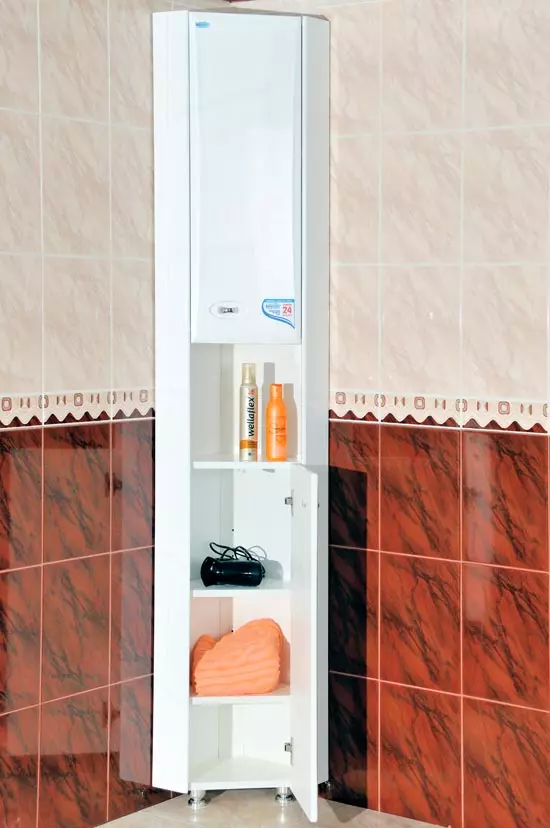 Mga kaso ng sulok sa banyo: Pangkalahatang-ideya ng sahig at nakalakip na cabinet, 30 cm ang laki at 40 cm 10406_3