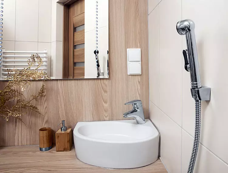 بحيرة للاستحمام النظافة: أي نوع من وحدة للمرحاض هي؟ لمحة عامة عن نماذج مع صمام قفل 10449_10