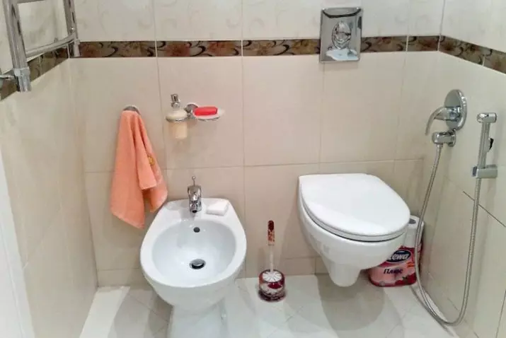 بحيرة للاستحمام النظافة: أي نوع من وحدة للمرحاض هي؟ لمحة عامة عن نماذج مع صمام قفل 10449_11