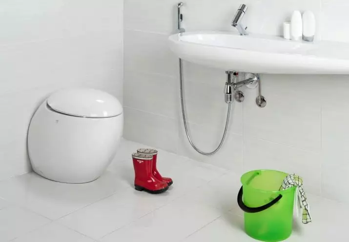بحيرة للاستحمام النظافة: أي نوع من وحدة للمرحاض هي؟ لمحة عامة عن نماذج مع صمام قفل 10449_12