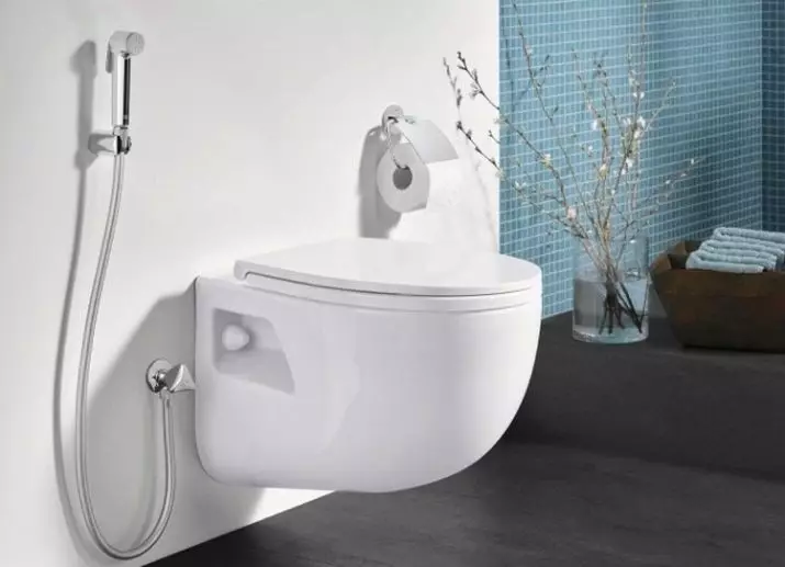 Lake for the hygiene shower: what kind of units for the toilet are? Overview of models with lock valve 10449_13