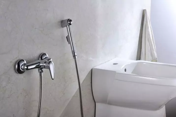 بحيرة للاستحمام النظافة: أي نوع من وحدة للمرحاض هي؟ لمحة عامة عن نماذج مع صمام قفل 10449_14