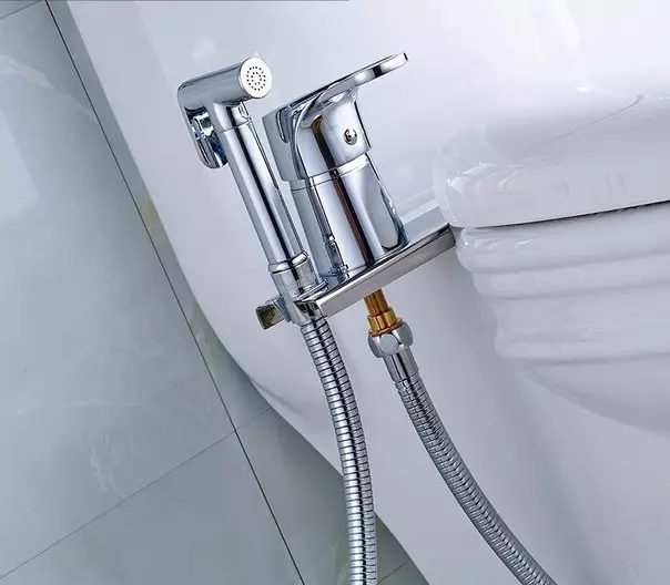 Lake for the hygiene shower: what kind of units for the toilet are? Overview of models with lock valve 10449_3