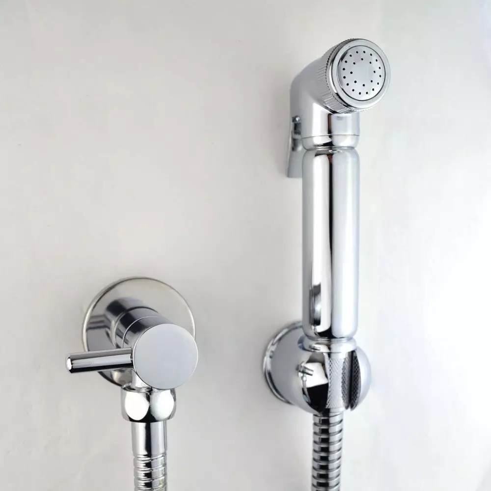 بحيرة للاستحمام النظافة: أي نوع من وحدة للمرحاض هي؟ لمحة عامة عن نماذج مع صمام قفل 10449_4