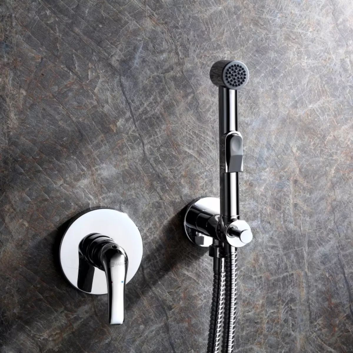 Lake for the hygiene shower: what kind of units for the toilet are? Overview of models with lock valve 10449_5