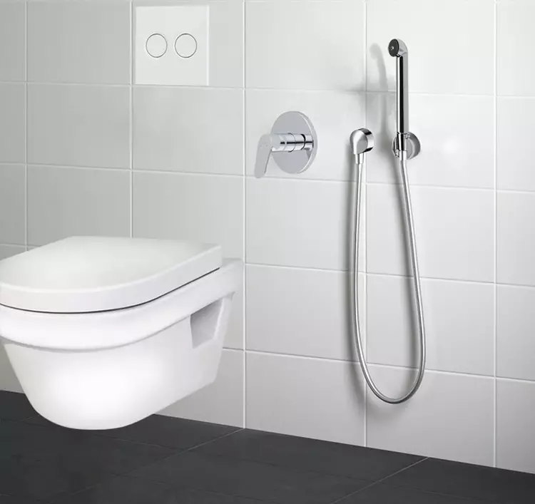 Lake for the hygiene shower: what kind of units for the toilet are? Overview of models with lock valve 10449_7