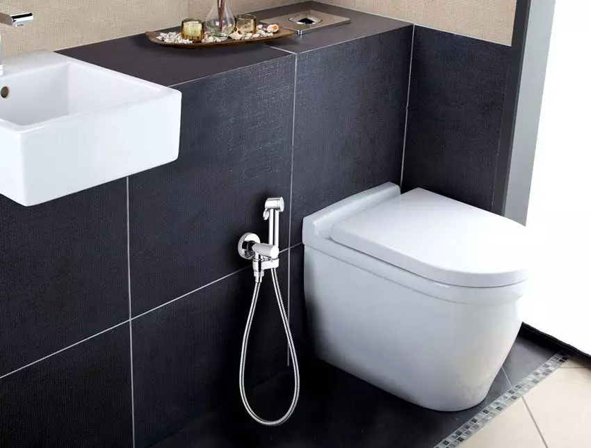 بحيرة للاستحمام النظافة: أي نوع من وحدة للمرحاض هي؟ لمحة عامة عن نماذج مع صمام قفل 10449_8