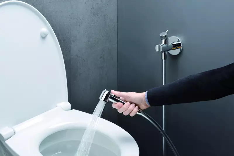 بحيرة للاستحمام النظافة: أي نوع من وحدة للمرحاض هي؟ لمحة عامة عن نماذج مع صمام قفل 10449_9