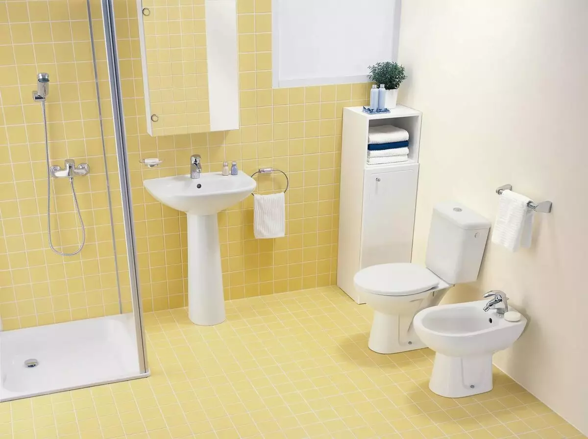 Vzdálenost k záchodě ze zdi: normy. Minimální vzdálenost od strany a od okraje. Jakou délku dát misku s nádrží? 10450_8