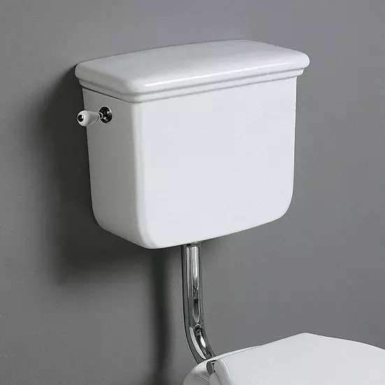 卫生间碗（90张照片）：美国沥水和虹吸式系统的结构，没有液压组件的型号。谁发明了厕所？侧面支撑概述和真空厕所 10456_20