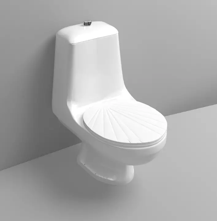 卫生间碗（90张照片）：美国沥水和虹吸式系统的结构，没有液压组件的型号。谁发明了厕所？侧面支撑概述和真空厕所 10456_37