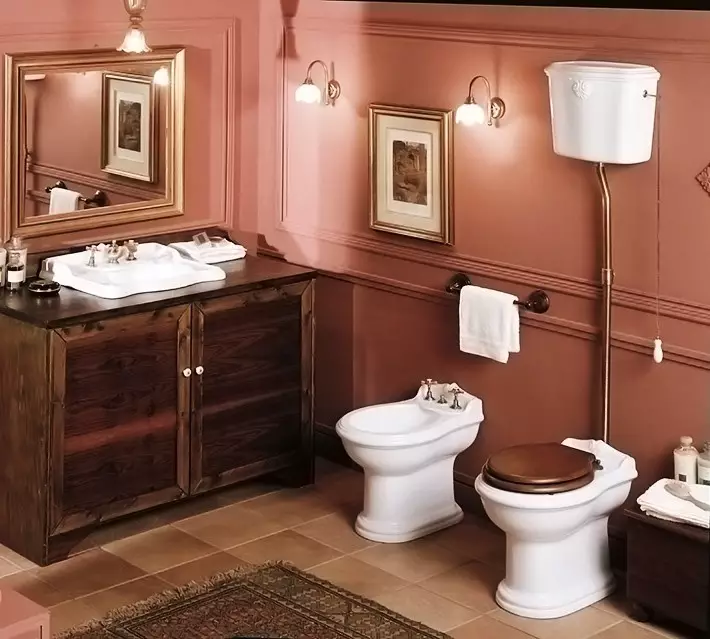卫生间碗（90张照片）：美国沥水和虹吸式系统的结构，没有液压组件的型号。谁发明了厕所？侧面支撑概述和真空厕所 10456_40