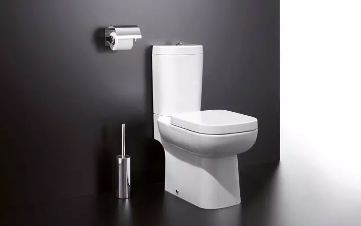 卫生间碗（90张照片）：美国沥水和虹吸式系统的结构，没有液压组件的型号。谁发明了厕所？侧面支撑概述和真空厕所 10456_50