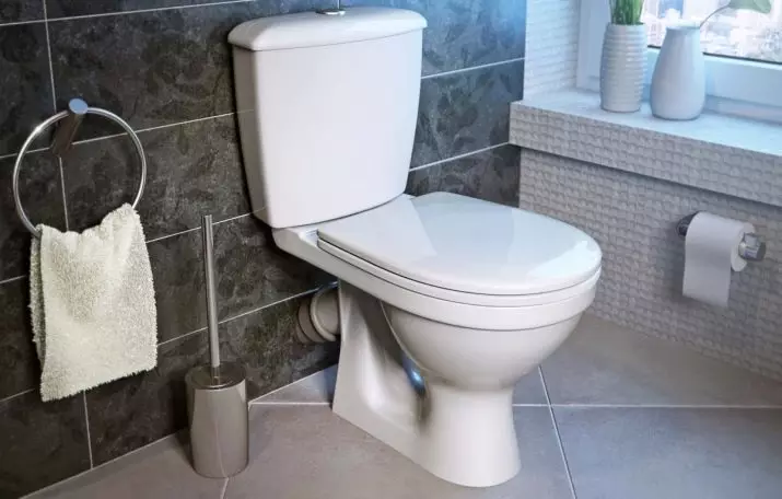 卫生间碗（90张照片）：美国沥水和虹吸式系统的结构，没有液压组件的型号。谁发明了厕所？侧面支撑概述和真空厕所 10456_51