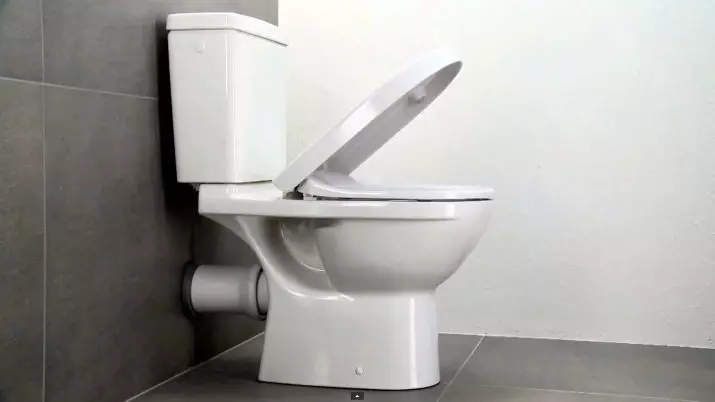 卫生间碗（90张照片）：美国沥水和虹吸式系统的结构，没有液压组件的型号。谁发明了厕所？侧面支撑概述和真空厕所 10456_52