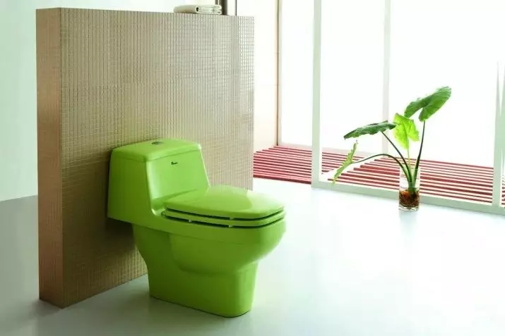 卫生间碗（90张照片）：美国沥水和虹吸式系统的结构，没有液压组件的型号。谁发明了厕所？侧面支撑概述和真空厕所 10456_65