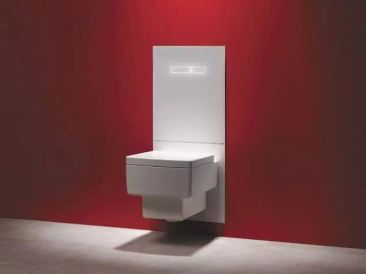卫生间碗（90张照片）：美国沥水和虹吸式系统的结构，没有液压组件的型号。谁发明了厕所？侧面支撑概述和真空厕所 10456_70