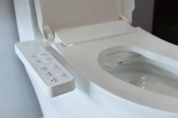 Smart Toilet: Mga matang sa elektronik nga modelo nga adunay control panel. Mga kasilyas sa Korea ug mga kasilyas sa ubang mga tiggama 10467_11
