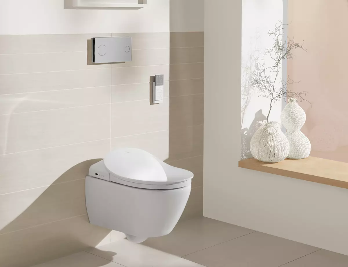 Smart Toilet: Mga matang sa elektronik nga modelo nga adunay control panel. Mga kasilyas sa Korea ug mga kasilyas sa ubang mga tiggama 10467_21